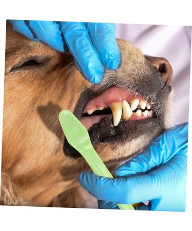 GANAZONO 3 Sets Pet Toothbrush Toothpaste for Dogs Green Dog Toothbrush Pet Mouth Cleaning Tool Tools Pp - Buy Online on SooperMarket.com