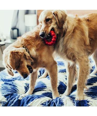 Shop Kong Ring for Small/Medium Dogs - Durable & Fun Chew Toy | International Shipping - Buy Online on SooperMarket.com