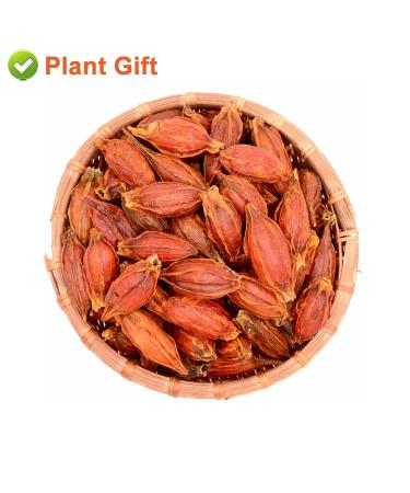 Buy Organic Gardenia Fruit Tea 80G | Chinese Herbal Tea - Jasmine Flavor - Natural Wellness - Buy Online on SooperMarket.com
