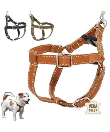 Dogissimi dog harness for small and medium dogs adjustable and ergonomic dog harness made of real leather handmade in Italy leather dog harness (L leather) L (breast 52-69 cm) leather