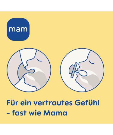 MAM Air Night Silicone Pacifier Set for 6-16 Months - Tooth-Friendly Lightweight and Includes Pacifier Box - Bear & Trees Design - Buy Online on SooperMarket.com