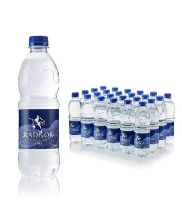 Radnor Hills Mineral Water Screw Cap Bottle 24x500ml