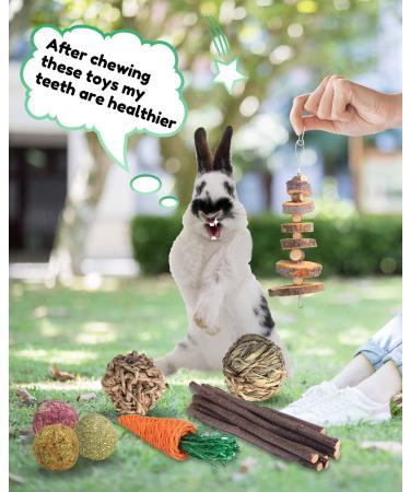 Pweituoet Rabbit Toys for Small Animals - 100% Natural Handmade Chew Treats for Bunny, Hamster, Guinea Pig, Chinchilla, Rat | Variety of 14 Types - Buy Online on SooperMarket.com