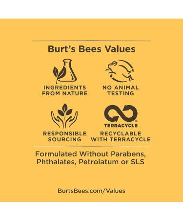 Burt's Bees Cooling Face Scrub for Men with Aloe & Hemp - 4 Ounces - Buy Online on SooperMarket.com