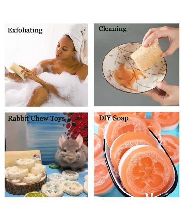 Natural Loofah Sponge Shower Exfoliating Bath Body Scrubber - 6pcs - Buy Online on SooperMarket.com