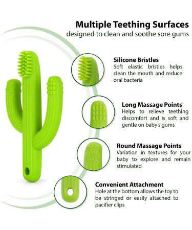 Cactus Teether Baby Toothbrush | Self-Soothing Pain Relief Teething Toy for Babies | Natural Organic BPA-Free | Green - Buy Online on SooperMarket.com