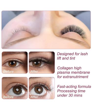 Lash Lift Kit - Professional Eyelash Extension Perm for Long-Lasting Curl - Ideal for Home or Salon Use - Buy Online on SooperMarket.com