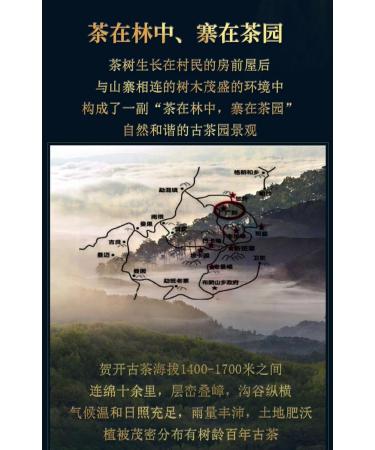 Pu-erh tea 2020 SHENG JIA YUAN He Kai 357g Raw - Buy Online on SooperMarket.com