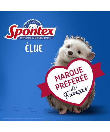 Buy Spontex Protect Tinge Vinyl Gloves - Unpowdered & Latex-Free Size M 100 Pack | Versatile & Practical for All Use International Shipping Available - Buy Online on SooperMarket.com