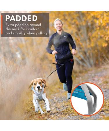 Non-stop Dogwear Freemotion Harness 5.0 | Versatile Dog Harness for All Sports | Size 8 Black/Orange - Shop Internationally - Buy Online on SooperMarket.com