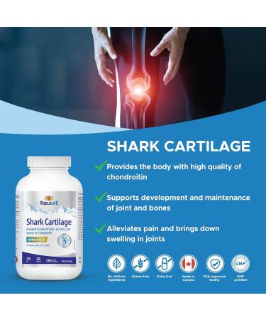 MapleLife Nutrition - Shark Cartilage 750mg - Excellent Source of Chondroitin - High Potency Pure Ingredients Calcium Carbohydrates Maintain Bone Health Reduce Joint Pain Anti-Inflammation Reduce Swelling & Redness of Joints Free of Artificial Ingredients - Buy Online on SooperMarket.com