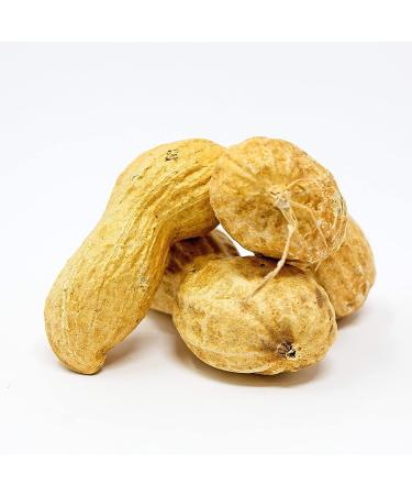 Premium USA Grown Raw Peanuts in Shell for Squirrels - Unsalted & Boiled Jumbo Peanuts for Birds - Green - Buy Online on SooperMarket.com