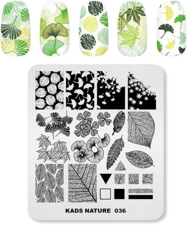 Alexnailart Professional Stamping Plates Autumn Leaves Ginkgo Maple Leaf Template Manicure Printing Tool NA036 - Buy Online on SooperMarket.com