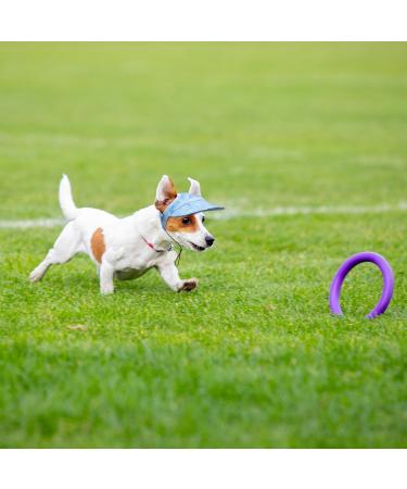 Buy BT BEAR Baseball Cap for Dogs Adjustable Ear Holes XL Batik Blue Perfect for Summer Travel & Sports | Small & Medium Dogs - Buy Online on SooperMarket.com