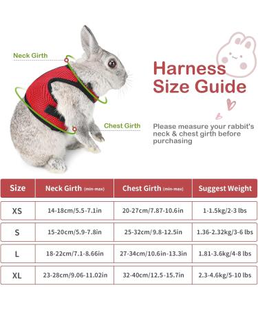 Adjustable Soft Rabbit Dishes & Leash for Small Pets | Kitty & Bunny Walking Accessories - Red XS (20-27.5cm) - Buy Online on SooperMarket.com