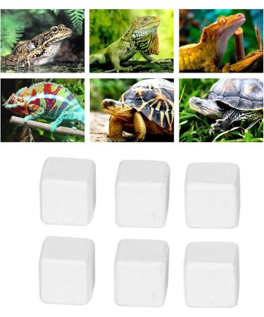 Premium Aquarium Calcium Stone - Essential Trace Elements for Turtles Snails & Reptiles - Ideal for Terrestrial Animals - Buy Online on SooperMarket.com