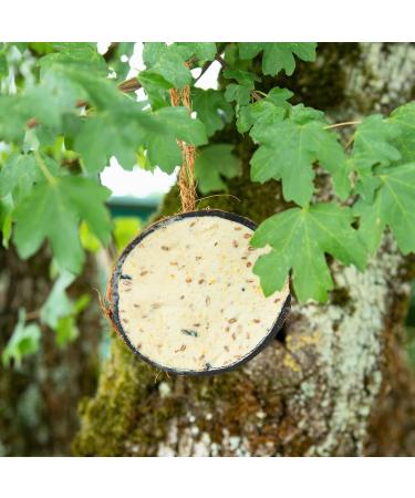 Buy Lyra PET 2x10 Coconut Filled Bird Feed | Fat-Rich Wild Bird Food with Toppings | Year-Round Nutrition | Vitamins & Protein for Wild Birds - Buy Online on SooperMarket.com