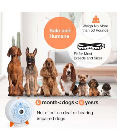 Anti Barking Device Auto Dog Barking Deterrent Devices Ultrasonic Dog Control Stop Dog Barking Device Ultrasonic Anti Dog Barking Pet Gentle Anti Barking Device for Small Large Dogs Indoor Outdoor White#0108HJU - Buy Online on SooperMarket.com