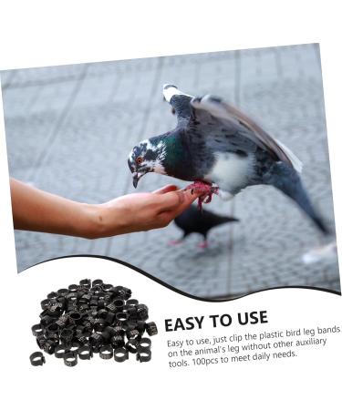 Angoily 300 Pcs Pigeon Anklet Duck Oyster Shell for Pigeon Identification Ring Network Management Bayonet 1.3X1.3CMx3pcs Blackx3pcs - Buy Online on SooperMarket.com