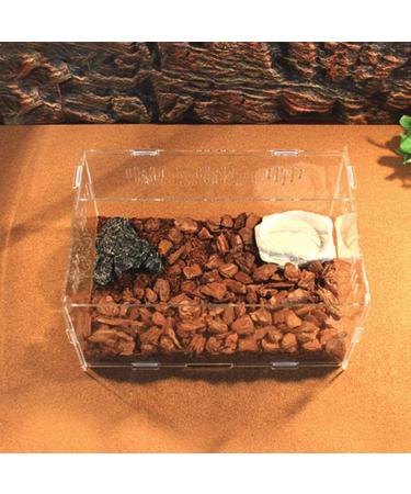 OMEM Transparent Acrylic Pet Reptile Combination Breeding Box - Ideal for Spiders, Scorpions, Snakes - Durable & Spacious - Buy Online on SooperMarket.com