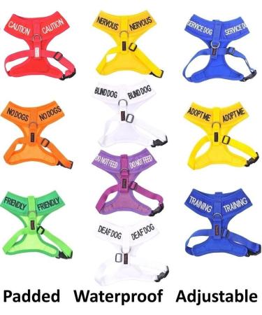 NERVOUS (Give Me Space) Yellow Colour Coded Non-Pull Dog Harness and 60cm 1.2m 1.8m Luxury Neoprene Padded Handle Lead Sets PREVENTS Accidents By Warning Others Of Your Dog In Advance (Harness & 1.8m) Harness & Long 1.8m/72inch Lead - Buy Online on SooperMarket.com