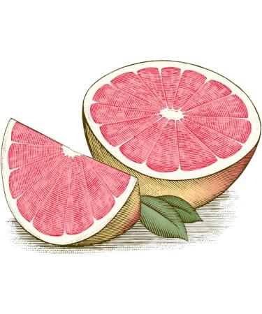 Burt s Bees 100% Natural Moisturizing Lip Balm Pink Grapefruit - 1 Tubes - Buy Online on SooperMarket.com