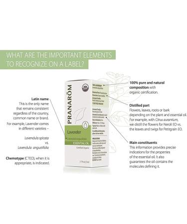 Pranarom Essential Oil Just Plain Relief 0.27 fl oz - Natural Pain Relief & Comfort - Buy Online on SooperMarket.com
