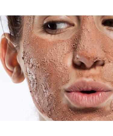 FarmHouse Fresh Sand Your Ground Clarifying Mud Exfoliation Mask 3.2 Fl Oz - Buy Online on SooperMarket.com