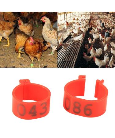 100pcs 16mm Clip on Chicken Leg Bands Number 001-100 Numbered Leg Bands for Chickens Ducks Hens Poultry Leg Bands for Dove Chicks Hen Parrot Birds Identification(Red)