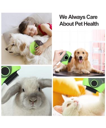 3-in-1 Portable Cat Brush for Shedding - Pet Slicker Brush for Dematting & Detangling - Grooming Brush for Dogs, Cats, Rabbits - Easy Undercoat Removal (Blue) - Buy Online on SooperMarket.com