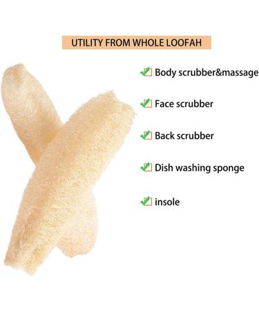 Natural Luffa Sponge | Biodegradable Loofah for Skin Exfoliation & Cleaning | Eco-Friendly Kitchen & Bathroom Washers (22-35 cm) - Buy Online on SooperMarket.com