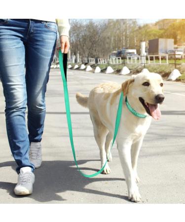 Buy Tagme Personalized Reflective Dog Collar for Medium Dogs - Embroidered Nylon with Pet Name & Phone Number - Turquoise - Buy Online on SooperMarket.com