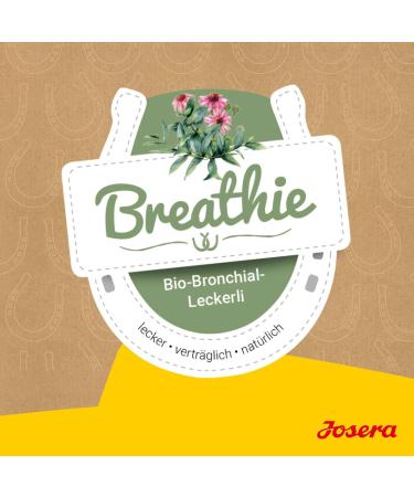 Josera Breathie Pferdeleckerli (900g) - Tasty Eucalyptus Horse Treats | Healthy Herbal Reward for Horses | Buy Internationally - Buy Online on SooperMarket.com