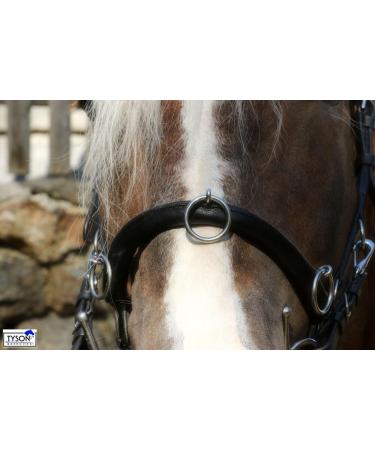 Buy Tysons Breeches Cavesson Leather - Extra Large Coldblood X-Full XX Full with Bit Attachment | Premium Quality Horse Tack - Buy Online on SooperMarket.com