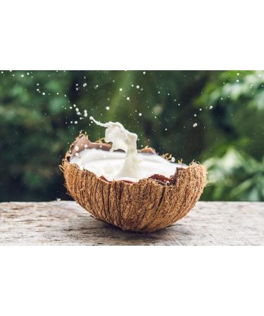 Buy Mynatura Organic Coconut Milk Powder (2x1kg) - Perfect for Cooking Baking & Desserts | Premium Coconut Nutrition - Buy Online on SooperMarket.com