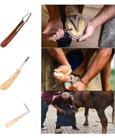capuca Farrier Tools Horse Hoof Trimmers - 14PCS Goat Hoof Trimmers Kit 8 Inch Hoof Rasp Nippers Pick Knife Cutter Buffer Hammer Brushes with Hoof Knife Sharpener for Pigs Silver-14 PCS - Buy Online on SooperMarket.com