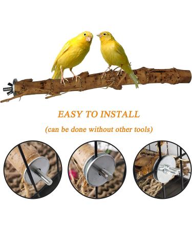 Natural Bamboo Bird Perch Stand Set for Budgies, Lovebirds, and Medium Parrots - 2PCS - Buy Online on SooperMarket.com