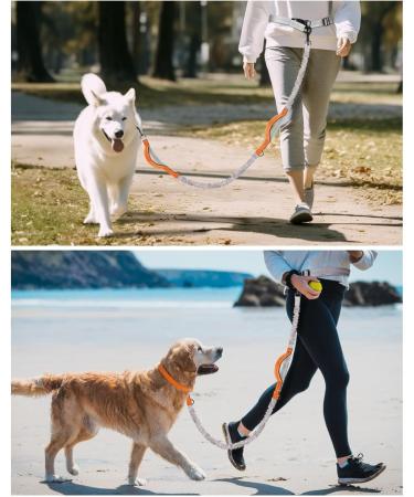Hurluksi Dog Waist Lead - Hands-Free Heavy Duty Running Belt Leash with Bungee Retractable Design and Sponge Handle (Orange) - Buy Online on SooperMarket.com