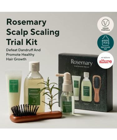 AROMATICA Rosemary Scalp Scaling Trial Kit with Mini Wooden Hair Brush - Clearer, Dandruff-Free Hair - Plant-Based Vegan Shampoo - 3.38 fl. oz Shampoo + 1.01 fl. oz Root Enhancer & Scalp Scrub - Buy Online on SooperMarket.com