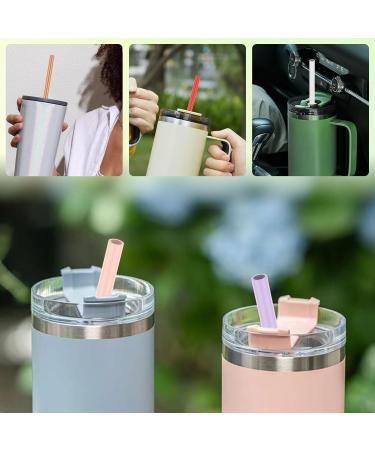 XM 10 Pack Reusable Straws with Clearing Brush 12in Long Replacement Straws 10 Colors Tumblers Straw Replacement Food Grade Reusable Plastic Straws Durable for 40oz Tumblers Mugs Half Gallon Jug SHAFU - Buy Online on SooperMarket.com