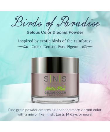 SNS Nail Dip Powder - Gelous Color Central Park Pigeon | Long-Lasting Low-Odor Dipping Powder - 1 Oz BP19 - Buy Online on SooperMarket.com