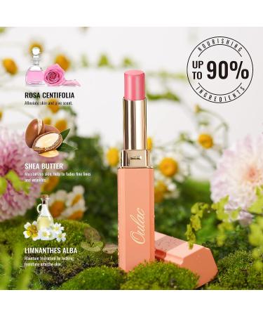 Oulac 2 in 1 Lipstick and Lip Balm - Juicy Glossy Lip Care for Smooth, Hydrated Lips - Vegan Formula (02 Grande Dame Plummy Terracotta) - Buy Online on SooperMarket.com