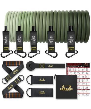 Resistance Bands Set - Workouts Bands for Men and Women, Exercise Bands with Handle, Door Anchor, Legs Ankle Straps, Elastic Bands for Physical Therapy, at Home Fitness, Strength Training Equipment 10-150LB Green
