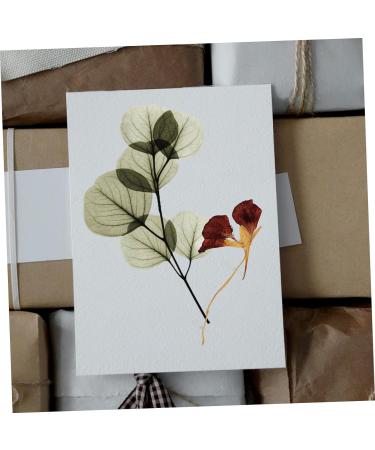 FRCOLOR Barber Dried Flower Embossed Blotter for Pressing Herbarium Flower Specimens - White Crown Design | 1 Count - Buy Online on SooperMarket.com