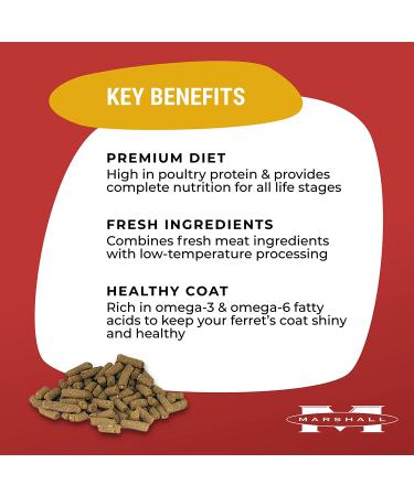 Marshall Pet Products Natural Premium Ferret Diet Food with Chicken Protein 4lb - Highly Digestible | Pack of 1 - Buy Online on SooperMarket.com