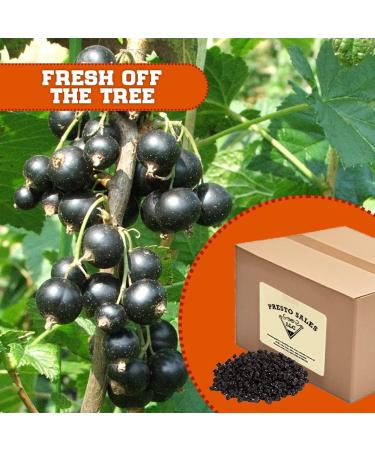 Organic USA Zante Currants - Dried Seedless Grapes 10 lbs. - Sweet & Tangy Superfood Snack by Presto Sales LLC - Buy Online on SooperMarket.com