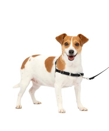 PetSafe Easy Walk Harness Anti-Pull Dog Harness Reduces Choking and Coughing With 1.8M Leash Size S Black S Black
