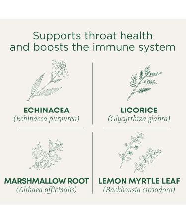 Traditional Medicinals Organic Throat Coat Lemon Echinacea Tea 16 Count (Pack of 6) - Soothing Tea for Seasonal Wellness - Buy Online on SooperMarket.com