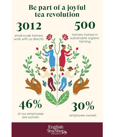English Tea Shop Organic Advent Calendar Tree - 25 Pyramid Tea Bags - Buy Online on SooperMarket.com