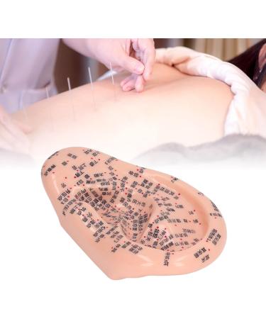 6.7 inch Silicone Ear Acupuncture Model - Ideal for Acupoint Learning & Home Care - Buy Online on SooperMarket.com